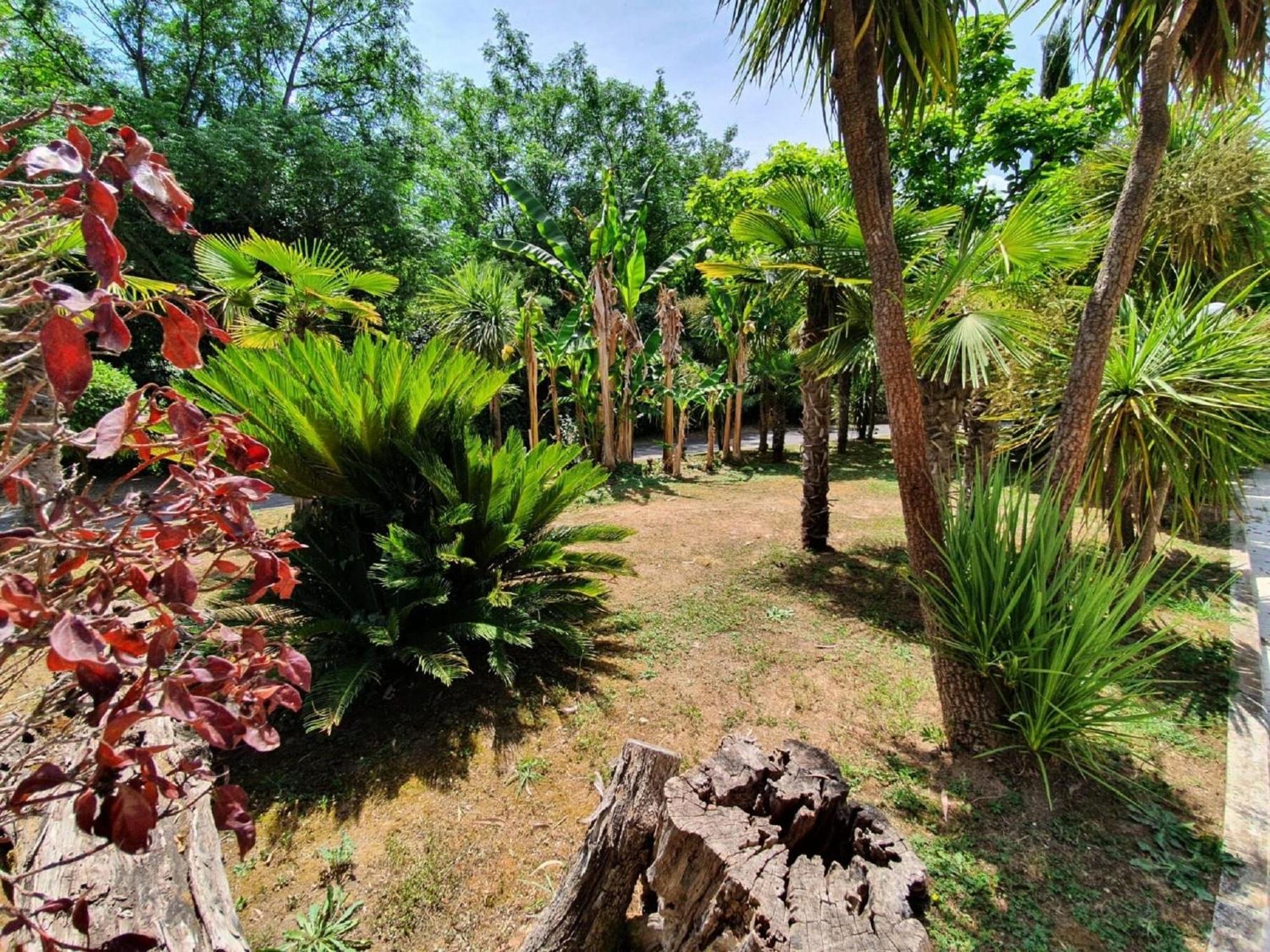 Beautiful In With Shared Swimming Pool Rom
